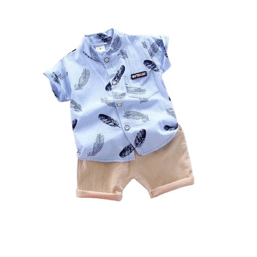 Stylish 2-Piece Baby Boy Summer Suit. Casual Top & Shorts Set