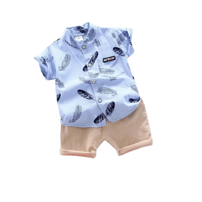 Stylish 2-Piece Baby Boy Summer Suit. Casual Top & Shorts Set