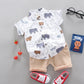 Stylish 2-Piece Baby Boy Summer Suit. Casual Top & Shorts Set